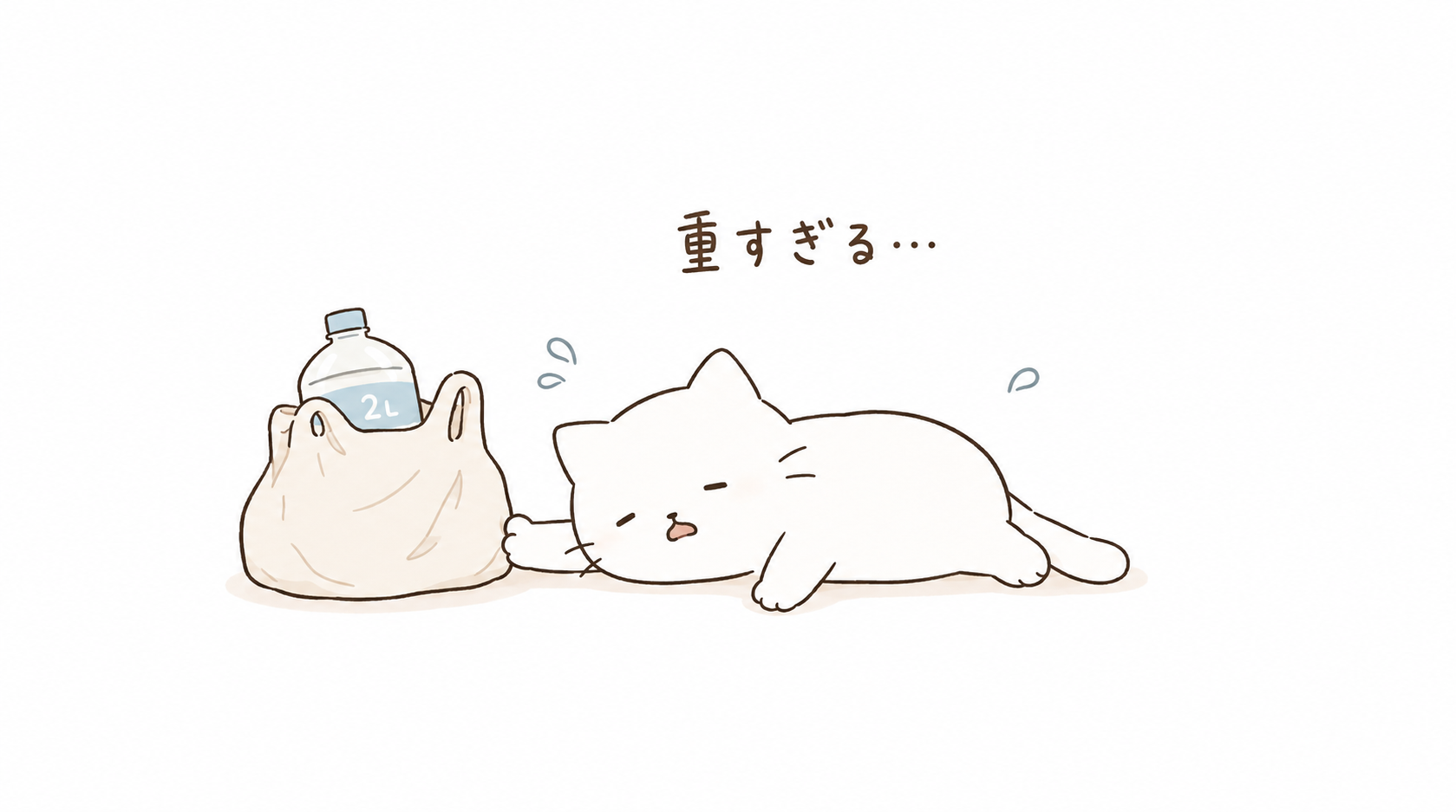 一人暮らしの買い物がめんどくさい5つの理由